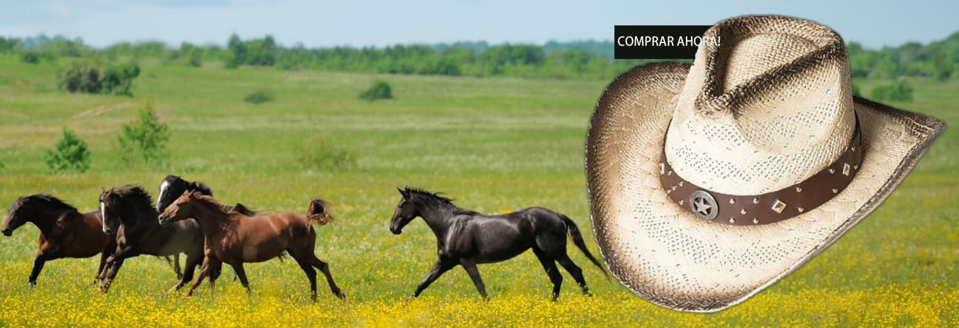 Oeste Vaqueros Tienda -Oeste Vaqueros Tienda DGFG